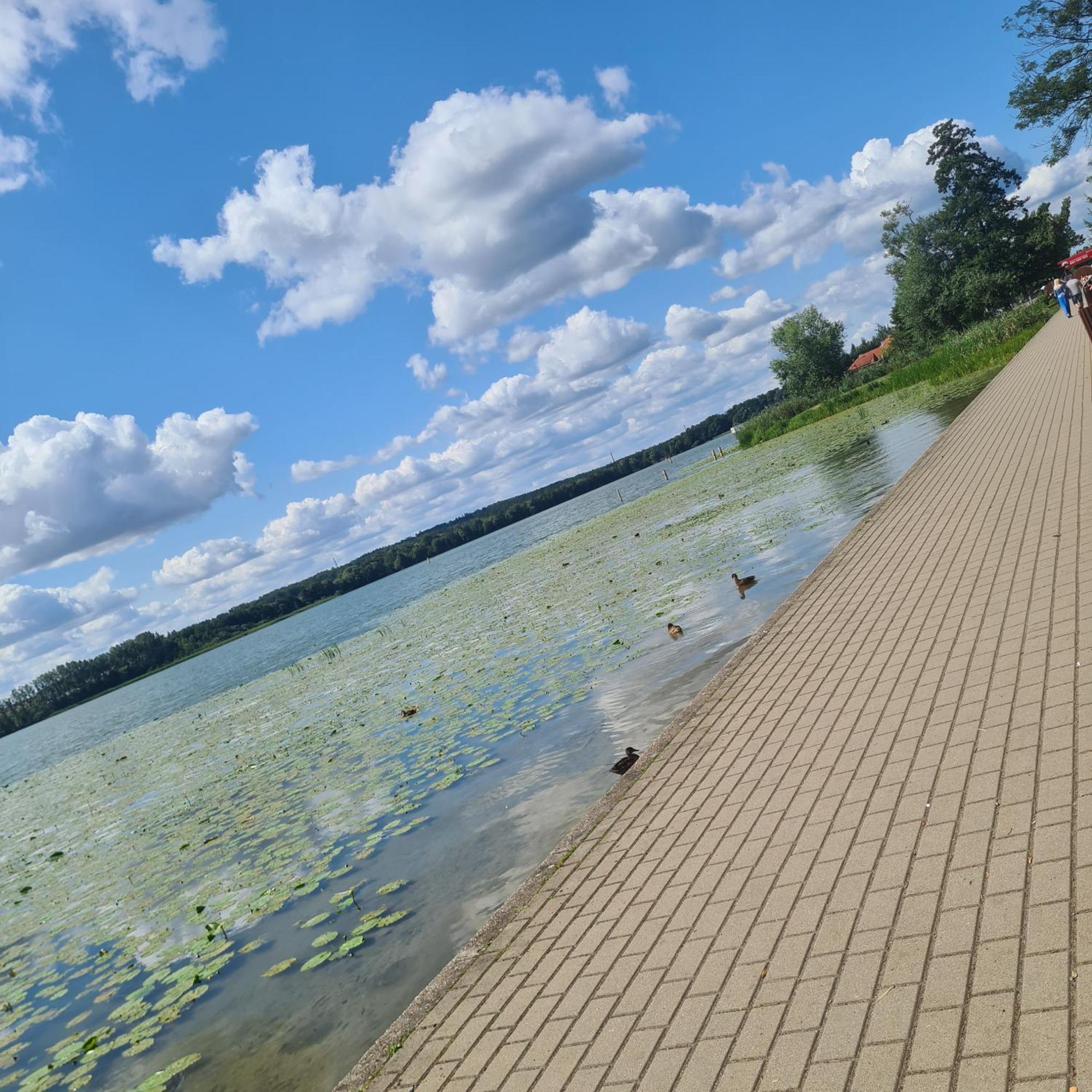 Apartament Villa Klar Ostróda Eksteriør bilde
